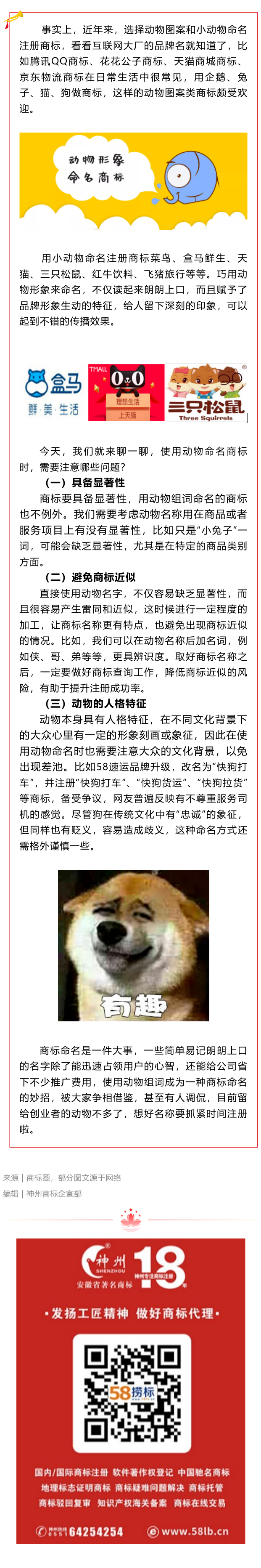 選擇小動物命名商標(biāo)，需要注意什么呢？